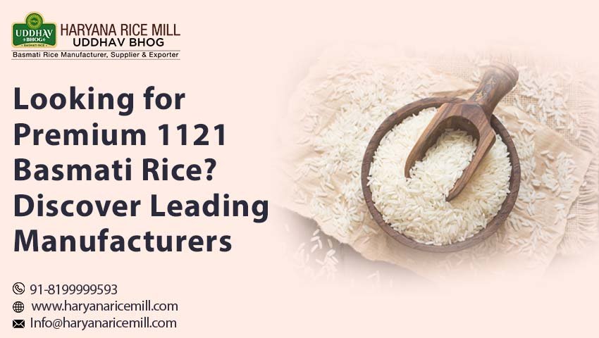 1121 Basmati Rice Manufacturer in India