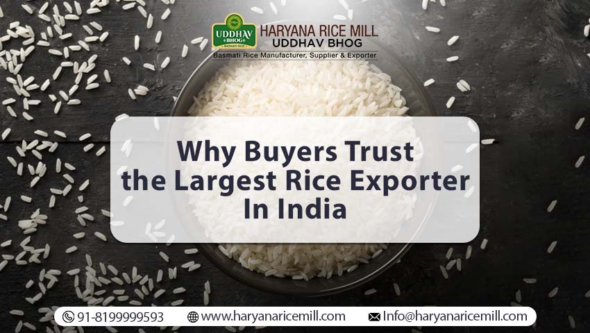 Largest Rice Exporter In India