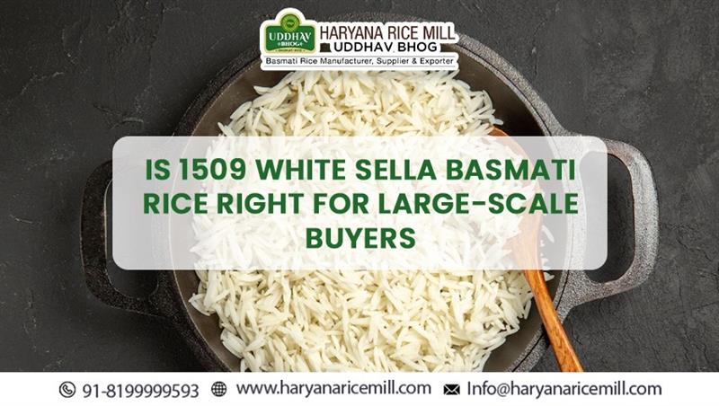 1509 White Sella Basmati Rice