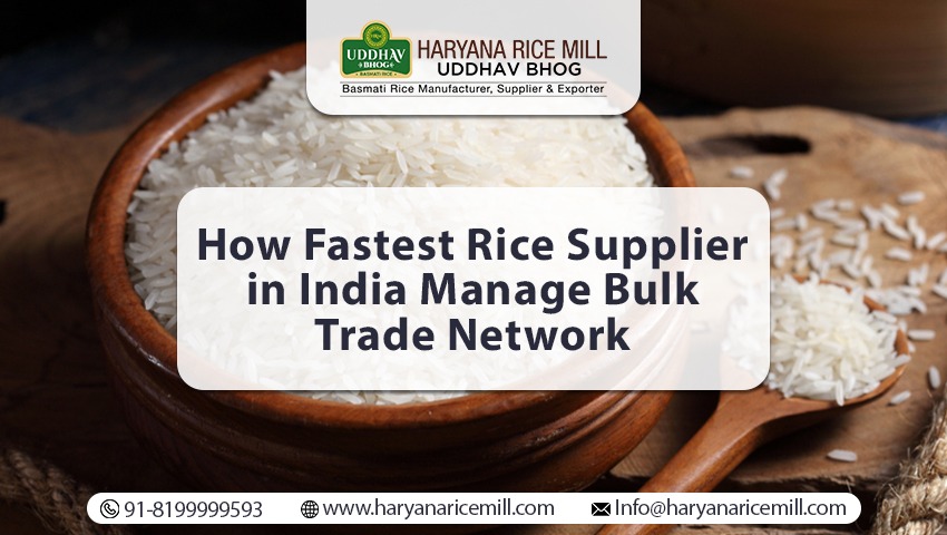 Rice Supplier in India